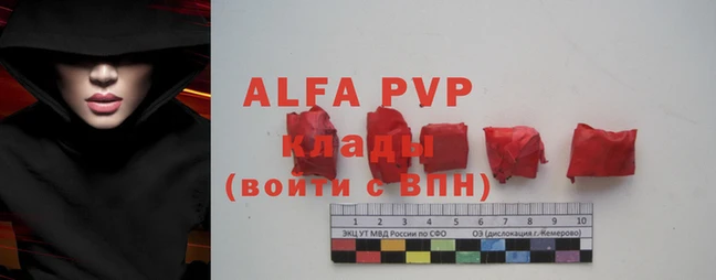 спиды Покачи