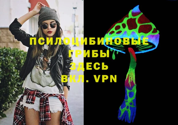 спиды Покачи