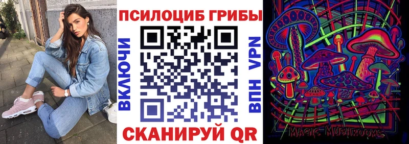Псилоцибиновые грибы Psilocybine cubensis  hydra зеркало  Сертолово 